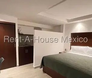 Departamento en Renta en Miguel Hidalgo, Escandon AM. 26-1810 - Photo 1