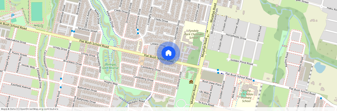 43 Springside Drive, Flat Bush, East Auckland