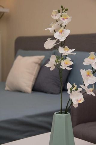 Studio/Γκαρσονιέρα για ενοικίαση Σταθμός (Κομοτηνή) - Photo 5