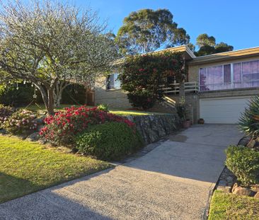 Baulkham Hills - Photo 4