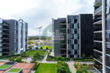 Another Successful Result By David Ibanez - Photo 4