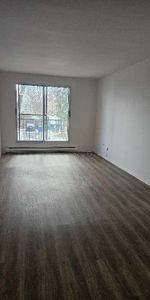 Repntigny - 3 1/2 - Juillet - Photo 3