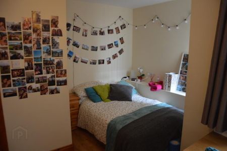 19 Ridgeway Street, Belfast, BT9 5FB - Photo 5