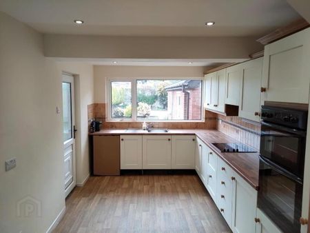 6 Dalton Park, Comber, BT23 5HD - Photo 3