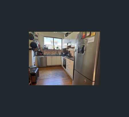 13 William Street, Leichhardt, NSW 2040 - Photo 5