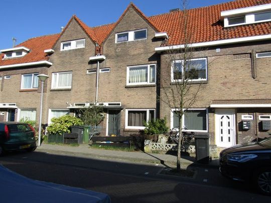 Te huur: Kamer Pioenroosstraat in Eindhoven - Photo 1