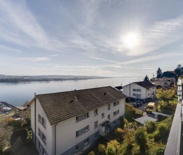 Belle vue sur les Alpes / le lac et coin salon dans le jardin - Photo 5