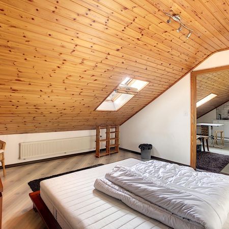 Appartement meublé 1,5 pièces - Photo 3