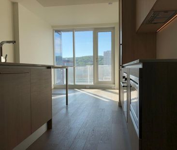 Appartement à louer - Montréal (Ville-Marie) (Mille Carré Doré) - Photo 3