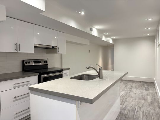 For Lease - 111 Boston Avenue Unit# Lower, Toronto, Ontario - Photo 1