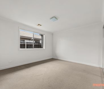 8 Pildappa Street, Harrison ACT 2914 - House For Rent | Domain - Photo 3