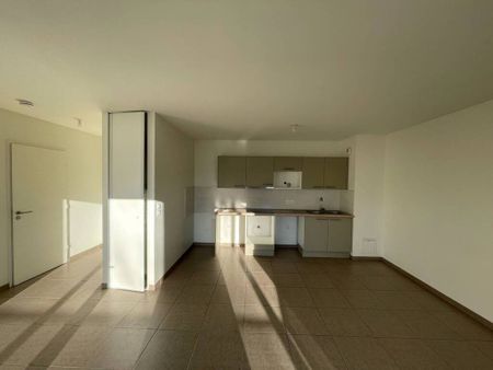 Location appartement Saint-Martin-d'Hères 38400 45.8 m² - Photo 3