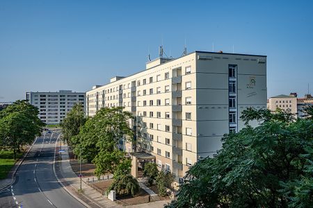 2-Zimmer Mietwohnung - Pirnaische Vorstadt - Foto 4