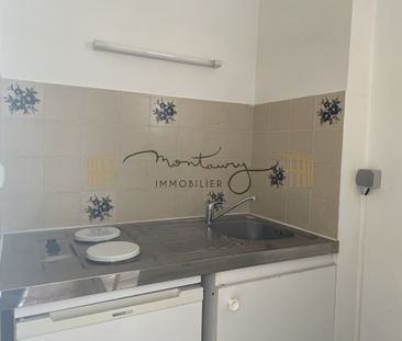 Location Appartement 1 pièce 19m² NIMES 30000 - Photo 1