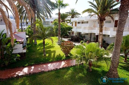 *Rent apartment in Costa del Silencio - Photo 3