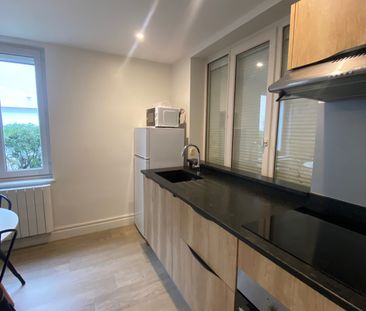 Location Appartement 1 pièce 26m² BRIGNAIS 69530 - Photo 3