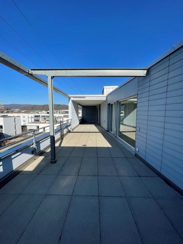 3 ½ Zimmer-Attikawohnung in Spreitenbach mieten - Foto 5