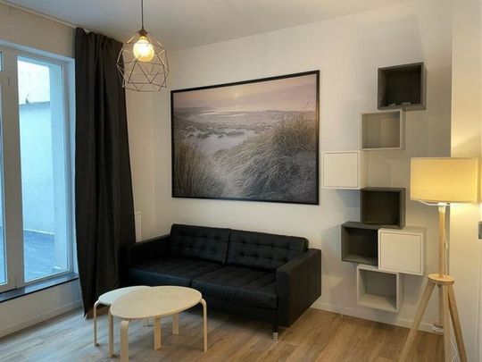 IXELLES: REZ DE CHAUSSE MEUBLE 2 CHAMBRES +TERRASSE - Ixelles - Foto 1