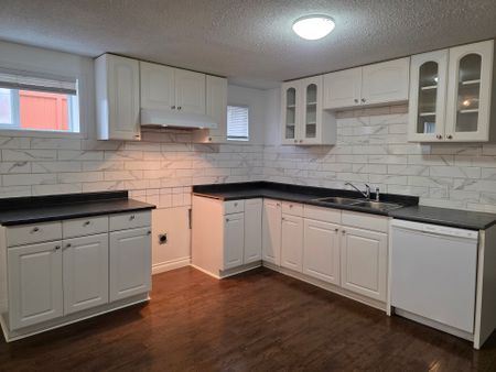 BSMT LEVEL OF GREAT HOUSE IN COQUITLAM (UTILITIES INCLUDED) - Photo 3