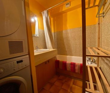 Location Appartement 1 pièce 27m² LA CHAPELLE D ABONDANCE 74360 - Photo 4