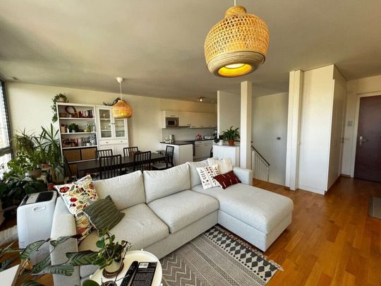 Superbe duplex de 4,5 pièces, Centre de Genève - Foto 1