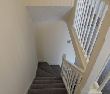 Newton Close - Photo 4