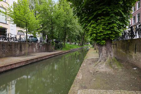 Groenestraat 48, Lange Nieuwstraat en omgeving, 3512PV, Utrecht - Photo 4