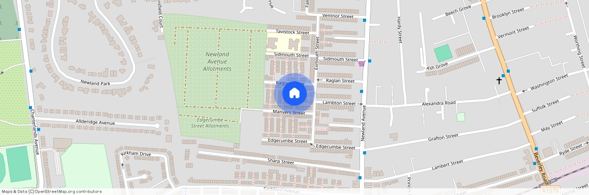 Raglan Avenue, Hull, HU5