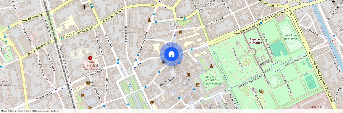 139 BIS GRANDE RUE, Pepiniere Vieille Ville, Nancy