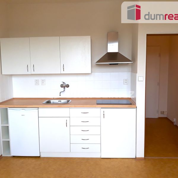 Pronájem bytu 1+kk a garsoniéry 20 m² - Photo 1