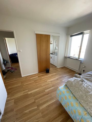 Fyrverkarbacken, Stockholm - Photo 4
