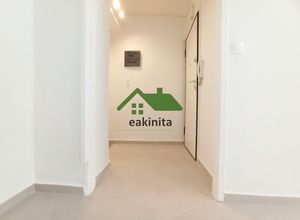 Διαμέρισμα για ενοικίαση - Καστέλλα - Πασαλιμάνι, - Φωτογραφία 5