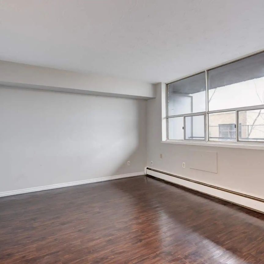 137 Church Street — 1 bedroom - Photo 1