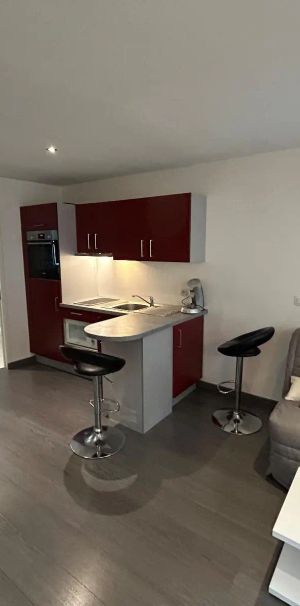 Appartement à louer 1 pièce 25.5m² - Photo 1