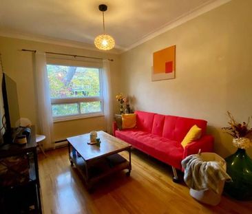 4 1/2 - Montréal (La Petite-Patrie) - 1 495 $/mois - Photo 2