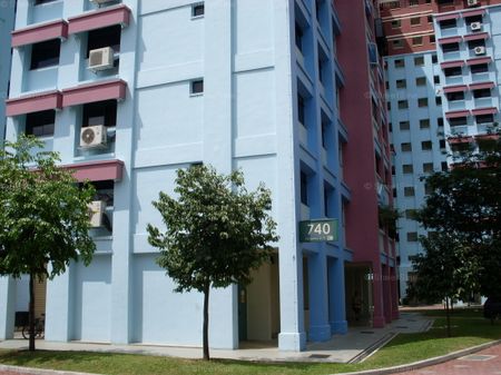 Blk 740 Tampines Green Vale (Tampines), HDB Executive - For Rent - Photo 4