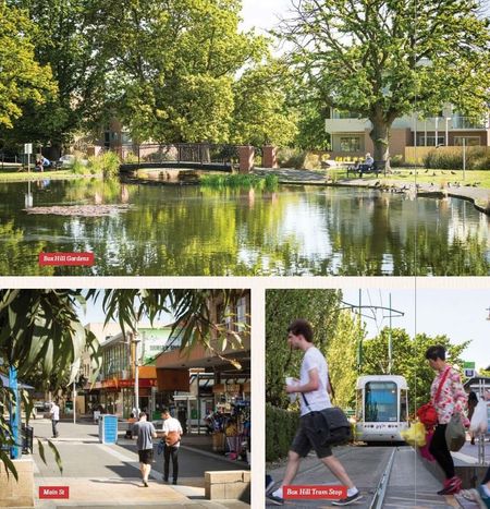 Modern Three-Level Townhouse in Prime Box Hill High Zone - Photo 2