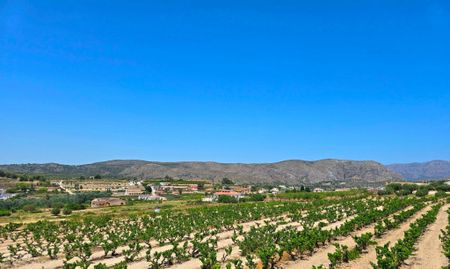 WIDE ESTATE FOR RENT IN TEULADA FOR LONG TERM - Photo 5