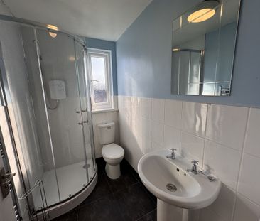 Dudley Street, The Groves - P2266 - Photo 2