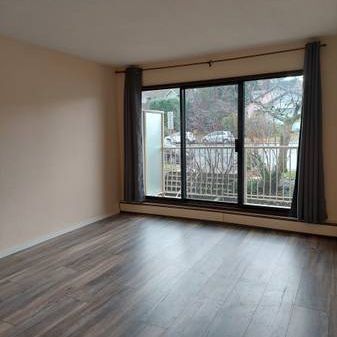 Newcastle Area - Bright 1bdm, 3rd floor, $1350 Available now! - Photo 1