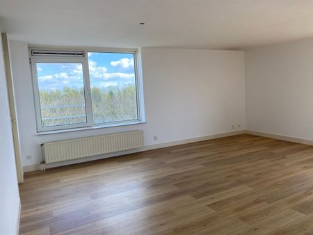 Hermelijnvlinder 49, Vlindertuin, 1113LC, Diemen - Photo 2