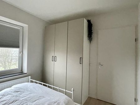 Te huur: Appartement Mathenesserweg in Rotterdam - Photo 2