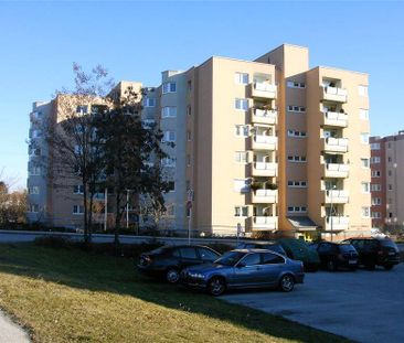 Wr. Neustadt - J. Bierenz-Gasse - Photo 2