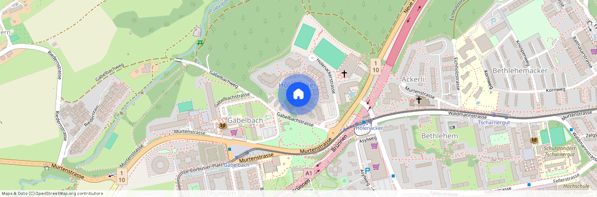 Holenackerstrasse 11, 3027 Bern