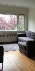 RENOVATED-AVAILABLE April 1st-Pet Allowed Furnished 1 BR @ 1540 Haro - Photo 4