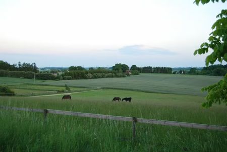 Tegelladan, Skurup - Foto 2