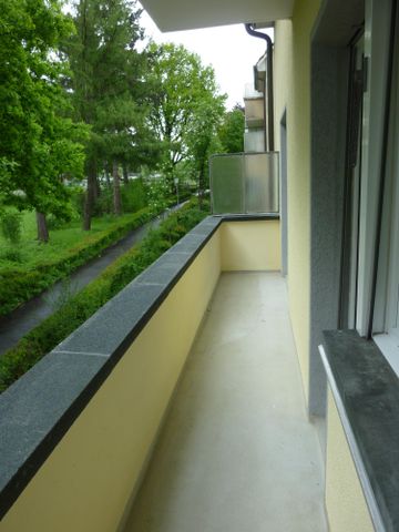 Gemütliche Wohnung in Bern Ihr neues Zuhause! - Photo 4