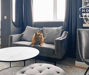 1 bedroom flat to rent - Photo 5