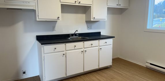 BEAU 3 ½ | EN RÉNOVATION |TOUT INCLUS - Photo 2