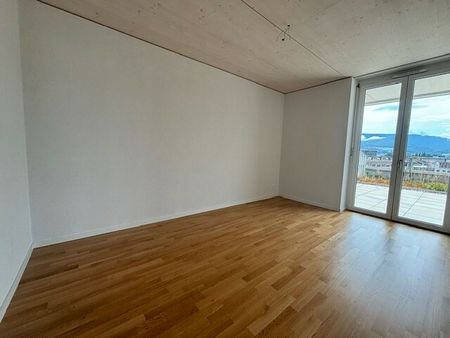 LE TICLE : Appartements neufs à louer - Photo 2